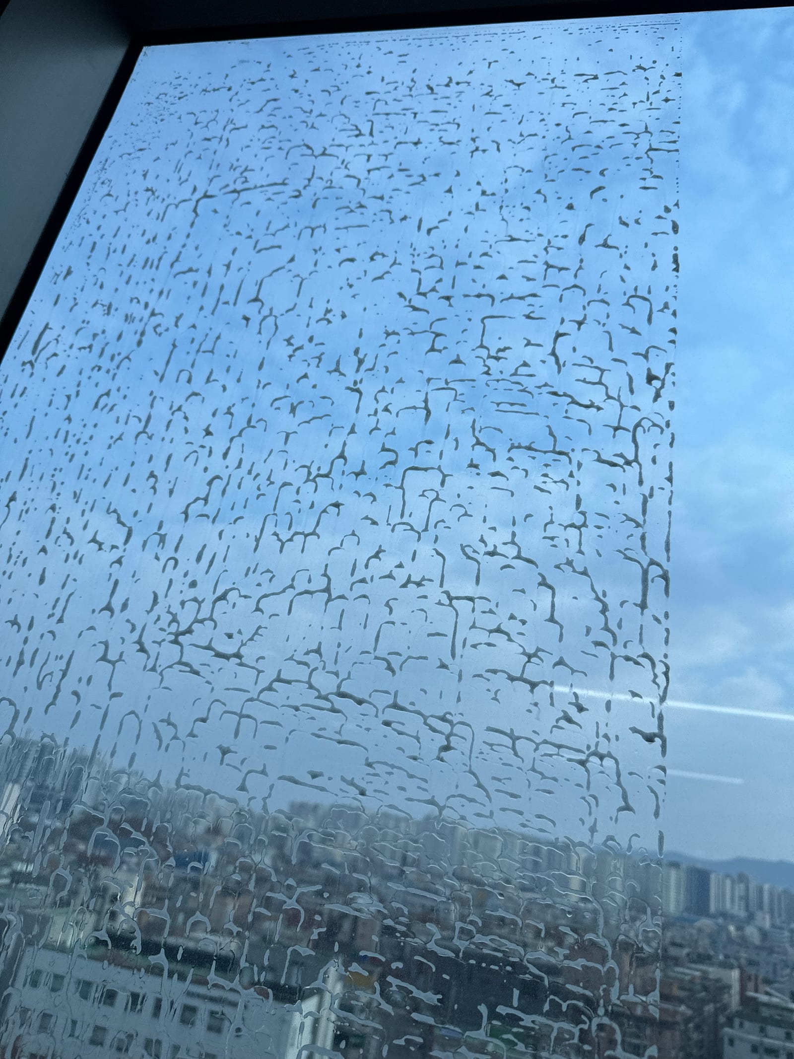 김포 고촌 사무실청소 시공 사진